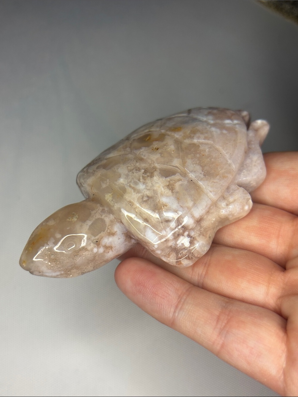 Hand-Carved Flower Agate Turtle Figurine in Beige & Cream